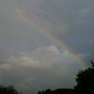 Meet your Posher, John stephanie